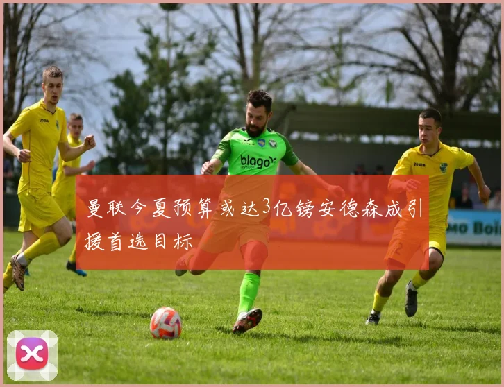 曼联今夏预算或达3亿镑安德森成引援首选目标