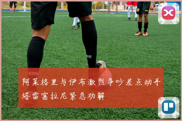 阿莱格里与伊布激烈争吵差点动手塔雷富拉尼紧急劝解