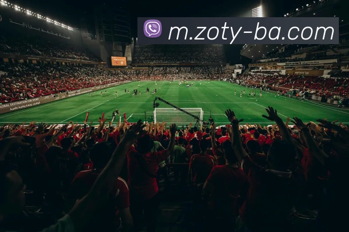 zoty中欧全站App